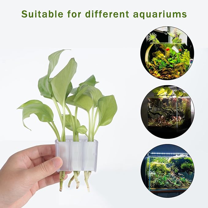 3 Holes Upgraded Aquatic Plant Cup Aquarium Plant Holder for Tank,Aquascape Accessories Decorations- White 2 Pcs