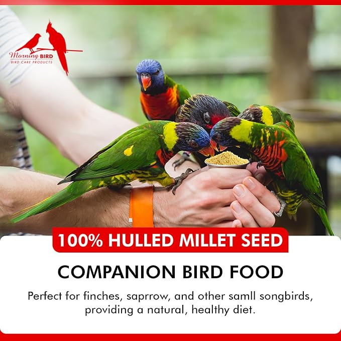 Morning Bird Hulled Millet 18 lbs (2-Pack, 9 lbs Each) – Nutritious Hulled Millet Seed - Easily Digestible with High Fiber, Rich in Vitamins & Minerals for Birds, Ideal Bird Feed for All Bird Types
