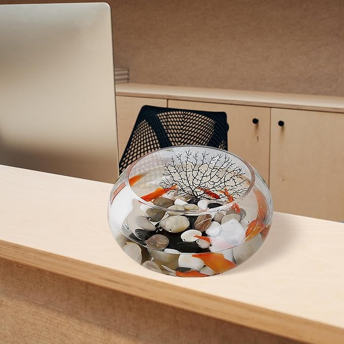 BESPORTBLE Glass Goldfish Bowl Fish Tank Hydroponic Plant Planter 25l Desk Aquarium for Office Home Decor