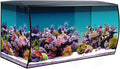 Fluval Flex 32.5 Marine Salt Water Aquarium Kit - Fish Tank for Fish, Coral & More - Comes with LED Lights, Filtration System & More - 32.5" x 15.75" x 15.35" - 123 L, 32.5 Gal. - Black