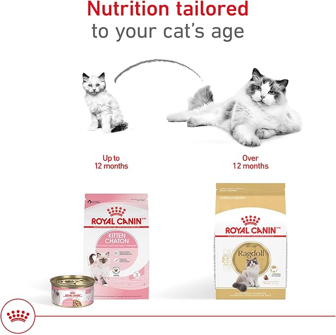 ROYAL CANIN Feline Breed Nutrition Ragdoll Adult Dry Cat Food,7 lb Bag,(Pack of 2)