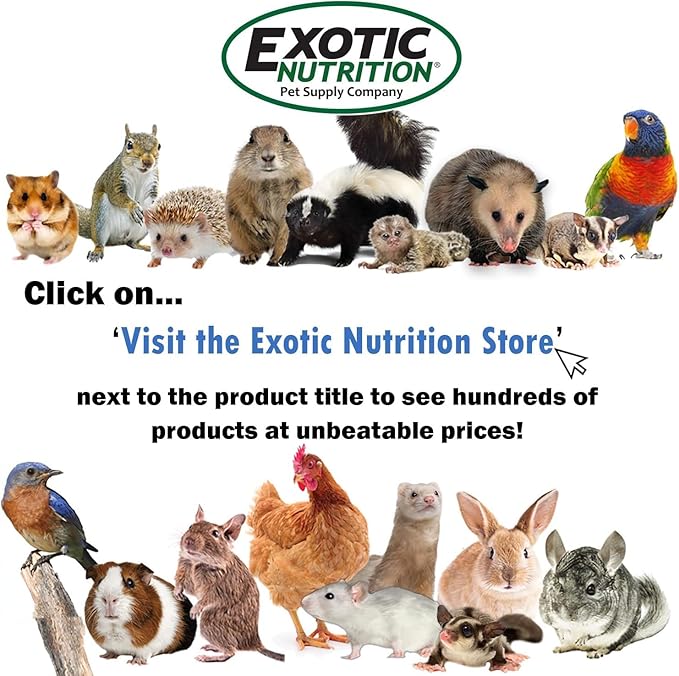 Exotic Nutrition 5LB Bulk Dried Black Soldier Fly Larvae - High-Calcium Insect Treat - Chickens, Wild Birds, Bluebirds