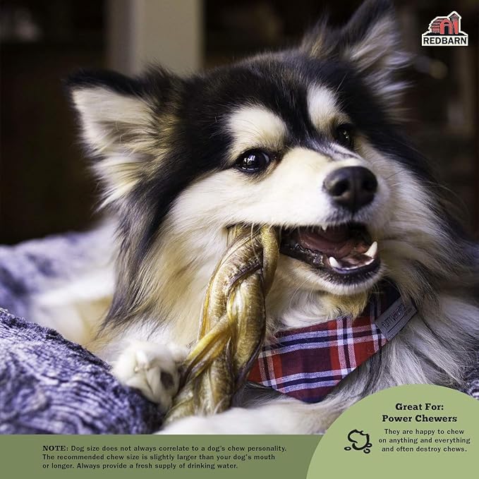 Redbarn Pet Products All Natural 8"-12" Braided Bully Sticks for Medium & Large Dogs - Healthy Long Lasting Beef Chews Variety Party Pack - Single Ingredient Low Odor Rawhide Free - 1 lb Bag