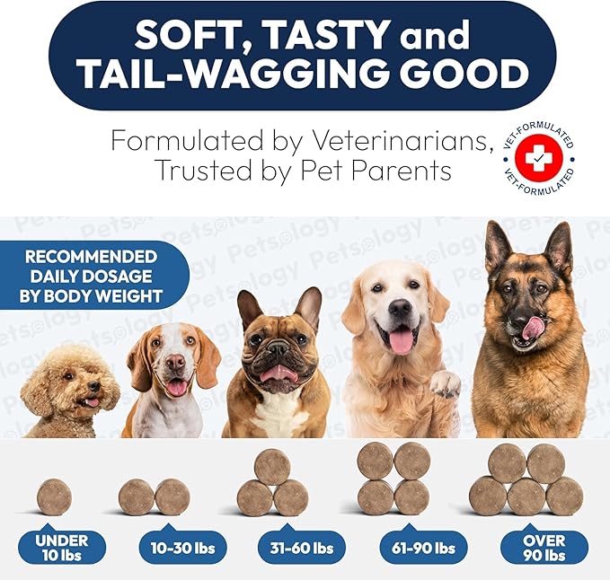 (2 Pack) Probiotics for Dogs - 340 Dog Probiotics Chews - Digestive Enzymes & Prebiotics - Support Gut Health, Diarrhea, Gas & Constipation Relief - Itchy Skin, Allergies - Advanced Supplement