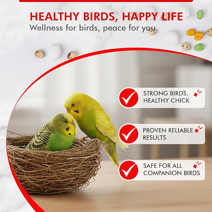 Morning Bird Nesting Nudge 2 Oz – Supports Reproductive Health & Energy – Stimulates Male and Female Reproductive Systems - Breeding Supplement with Essential Amino Acids & Vitamin D3