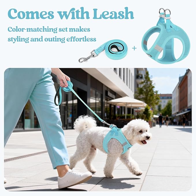 rabbitgoo Dog Harness Small Sized and Leash Set, Step in Soft Light Puppy Vest, Breathable Mesh Pet Harness, Reflective for Safe Easy Walking, Mint Blue XS