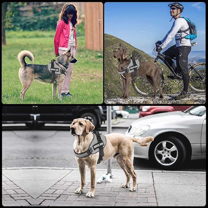 JSXD Dog Harness,No-Pull Service Dog Harness with Handle Adjustable Outdoor Pet Dog Vest 8M Reflective Nylon Material Vest for Breeds,Easy Control for Small Medium Large Dogs