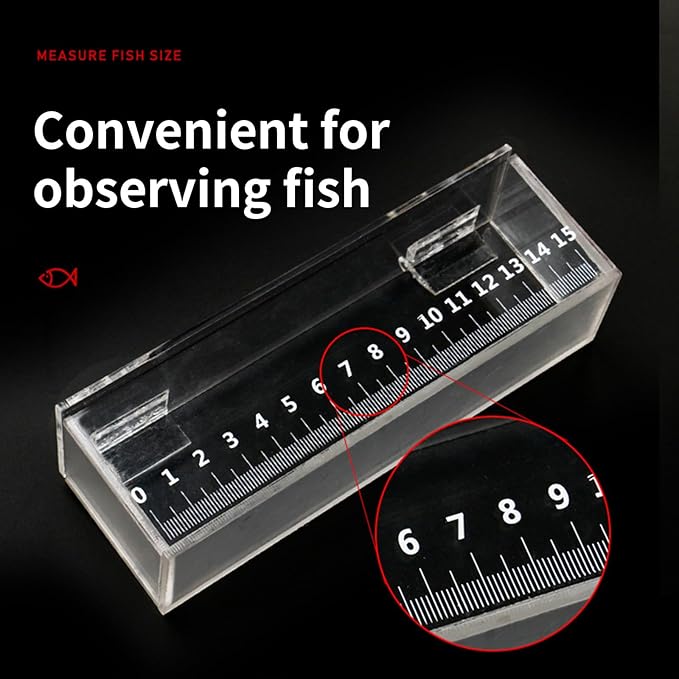 Acrylic Fish Isolation Box for Small Breeding and Observing Clear Breeding Tanks for Home Use Professional Fish Research Tool