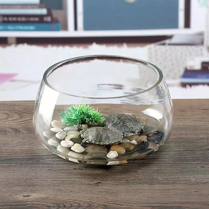 Milisten Thick Glass Turtle Bowl Aquarium Tank 20l Large Round Fish Bowl for Desktop Aquatic Landscaping and Hydroponic Plant Vase