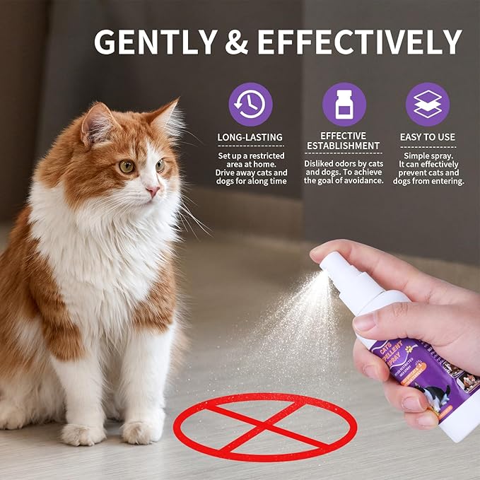 Cat Scratch Deterrent Spray, Cat Repellent Spray Indoor and Outdoor for Cat and Kitten, No Scratch Spray Training Aid for Furniture, Sofas, Rugs 120ml