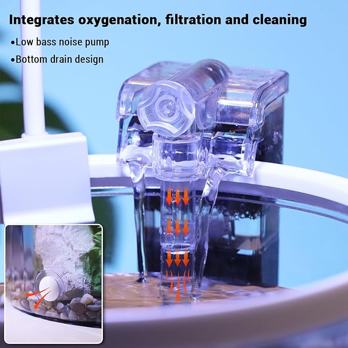 1.5 Gallon Small Fish Tank with Filter & LED Light, Desktop Aquarium Kit with Oxygen Pump & Decor, All-in-One Ecosystem Fish Bowl for Betta, Goldfish, Office, Home Decor
