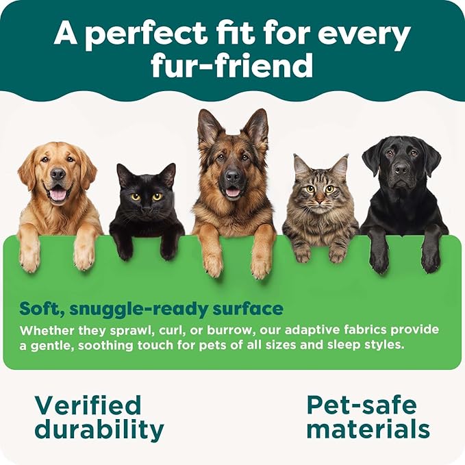 FurHaven Dog Bed Cover Replacement, Sofa-Style Design with Soft, Breathable Fabric for Cozy Comfort, Machine Washable, Large, Plush & Velvet, Granite Gray