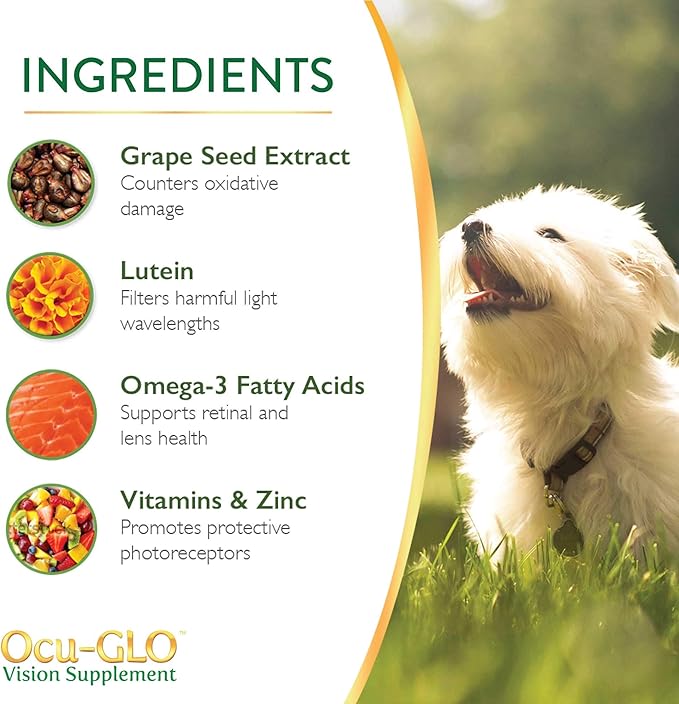 Ocu-GLO Cat & Dog for Eye Support - Chewable Vision Supplement for Medium and Large Pets Care with Lutein, Omega-3 Fatty Acids, Grape Seed Extract & Antioxidants 30 XL Chewables