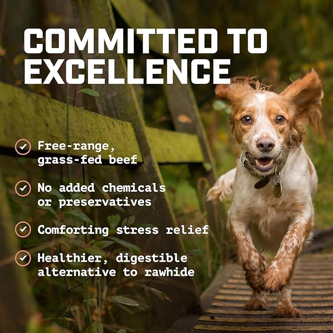 Wild Wolf 6-inch Angus Bully Sticks (8oz./~9-11 Sticks) Healthy, All-Natural, Long-Lasting Dog Chew Bones - Low Odor - Mixed Thickness - Lab-Tested, Hand-Inspected and Packed with Love in The USA