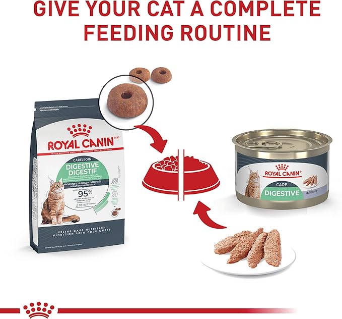 Royal Canin Feline Care Nutrition Digestive Care Adult Loaf in Sauce Cat Food, 5.1 oz (Pack of 24)