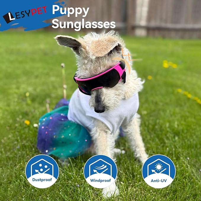 LESYPET Dog Sunglasses for Small Breed, UV Wind Dust Protection Dog Goggles for Pet Outdoor Driving Riding, Pet Glasses Eye Wear with Adjustable Strap, Gold