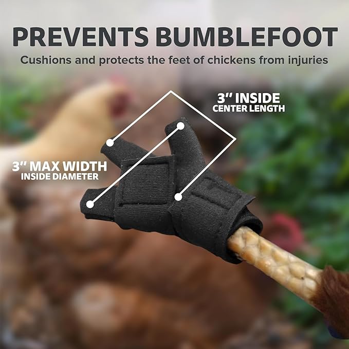 Chicken Shoes for Injured Feet – Protective Neoprene Footwear for Chicken, Open-Toe Design for Bumblefoot Relief, Made in USA (Chicken Shoes, Navy, Medium Chickens)