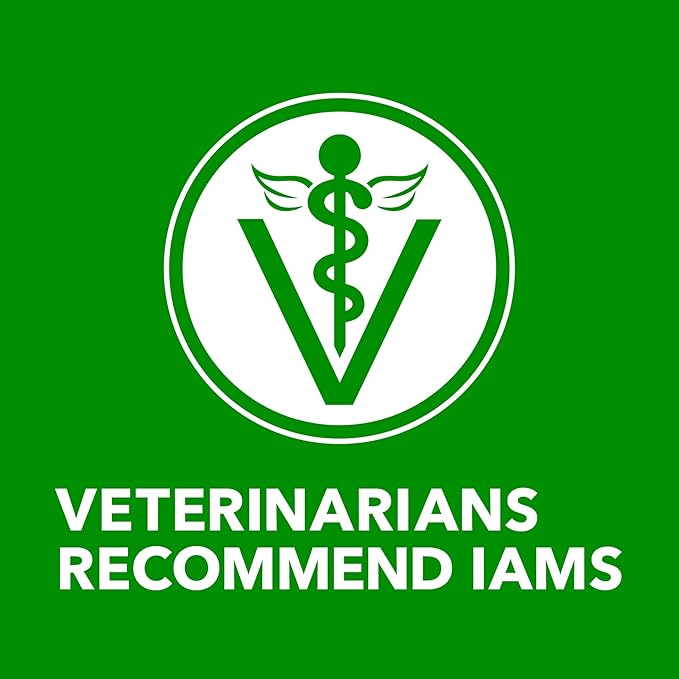 IAMS Proactive Health Senior Wet Dog Food, Classic Ground Dog Wet Food, Slow Cooked Chicken and Rice, 13 oz. Cans (Pack of 12)