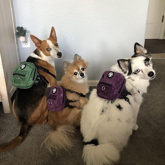 FLAdorepet Dog Backpack Harness with Leash, Dog Poop Bag Dispenser, Pet Self Carrier Adjustable Travel Hiking Walking Harness Backpack for Small Medium Dogs (L(Fit:10-15lb), Purple)