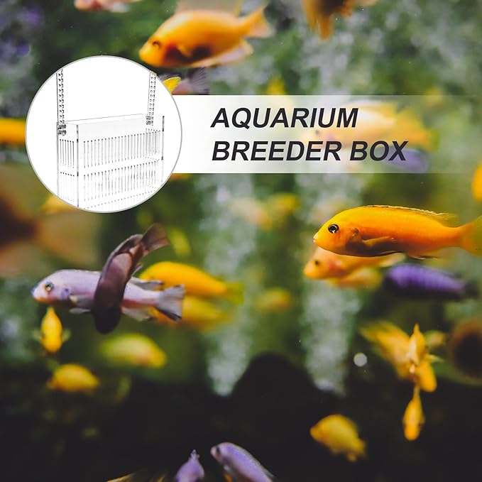 Guppy Breeding Box Aquarium Nursery Incubator Acrylic Hanging Fish Isolation Box with Suction Cups Medium Size for Betta and Shrimp Hatchery