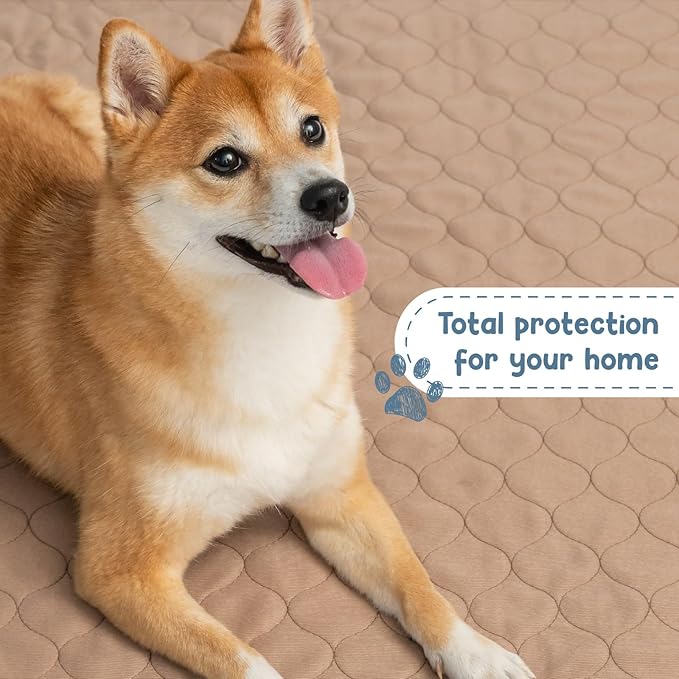 EZwhelp Reusable Dog Pee Pads - Dogs Waterproof Training Pads - Washable & Sanitary - Rounded Corners - Laminated, Lightweight, Durable - Pet Essentials Puppy Training, Whelping - 60" x 60"