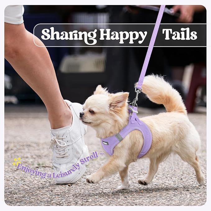 rabbitgoo Dog Harness Small Medium Sized and Leash Set, Step in Soft Light Puppy Vest, Breathable Mesh Pet Harness, Reflective for Safe Easy Walking, Light Purple XL