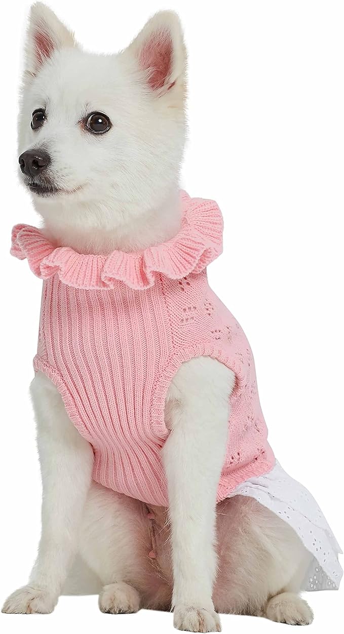 Blueberry Pet My Cutie Princess Ruffle Collar Dog Sweater Dress with Guipure Lace, Pink, Back Length 12", Fall Winter Clothes for Girl Dogs