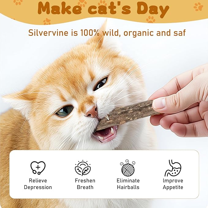 Silvervine Sticks for Cats, Natural Catnip Matatabi Chew Sticks Teeth Molar Chew Toys for Cat Kitten Kitty (25 PCS)