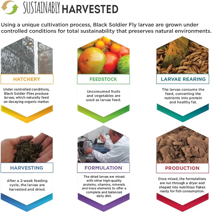 Fluval Bug Bites Tropical Fish Food, Flakes for Small to Medium Sized Fish, 3.17 oz., A7332, Brown (Pack of 2)