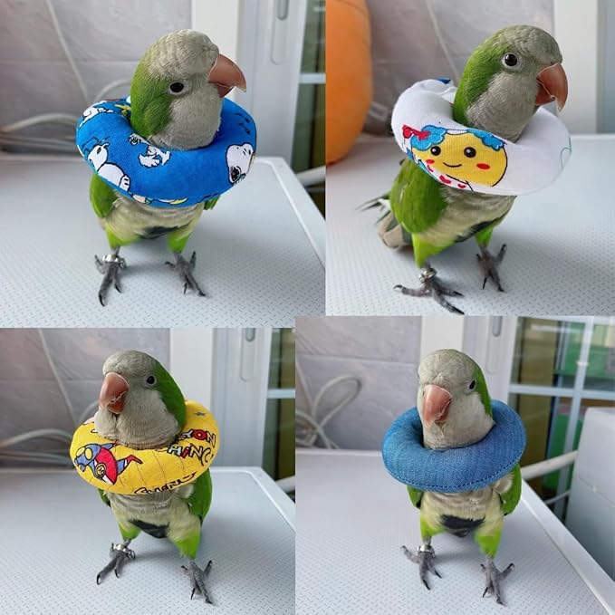 Parrot Neck Collar Pet Anti-bite Picking Feather Healing Protective Neck Cover Collar for Birds Conures Cockatiels Lovebirds Budgies Cockatoos African Grey Random Color (L)