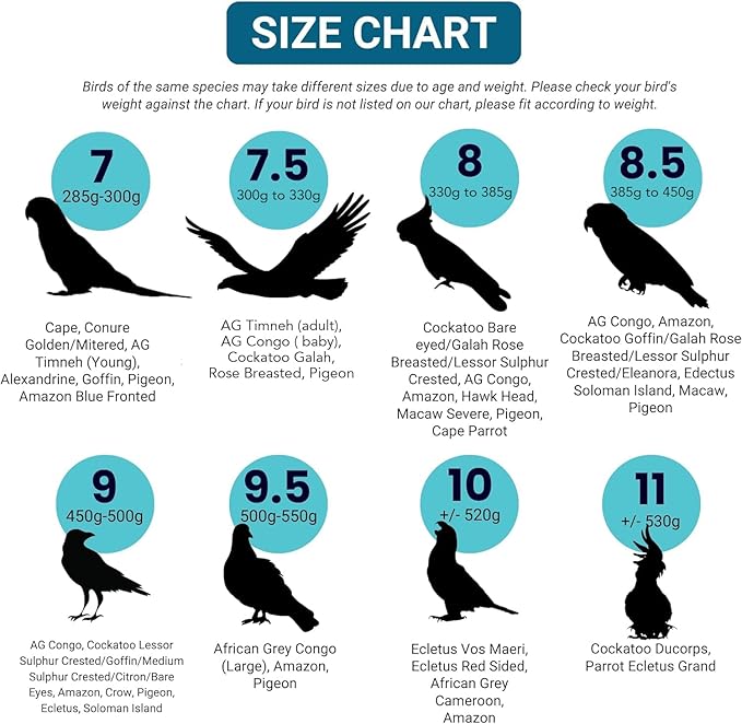 Bev's Bird Boutique Regular Flyper Adjustable Bird Diaper | Reusable, Washable Cloth | Comfort Fit for Parrot, Cockatiels, & Other Small Birds | Fashionable Avian Accessories, Navy & Red, Size 7.5