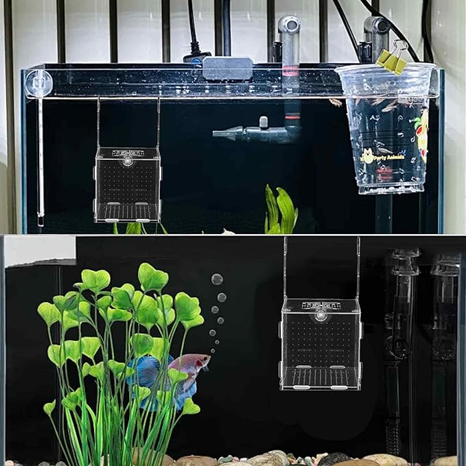 3 x 3 x 3 inch Acrylic Fish Breeding Box, Transparent Isolation Hatchery Incubator with Suction Cups for Guppy Shrimp Small Baby Fishes Aquarium Nursery Tank