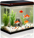 5 Gallon Fish Tank, Glass Aquarium Starter Kits, Self-Cleaning Water Pump & 3-Color Light with Water Temperature Detection for Betta Shrimp Guppy Jellyfish Goldfish Beta, Gift for Room Decor Kid