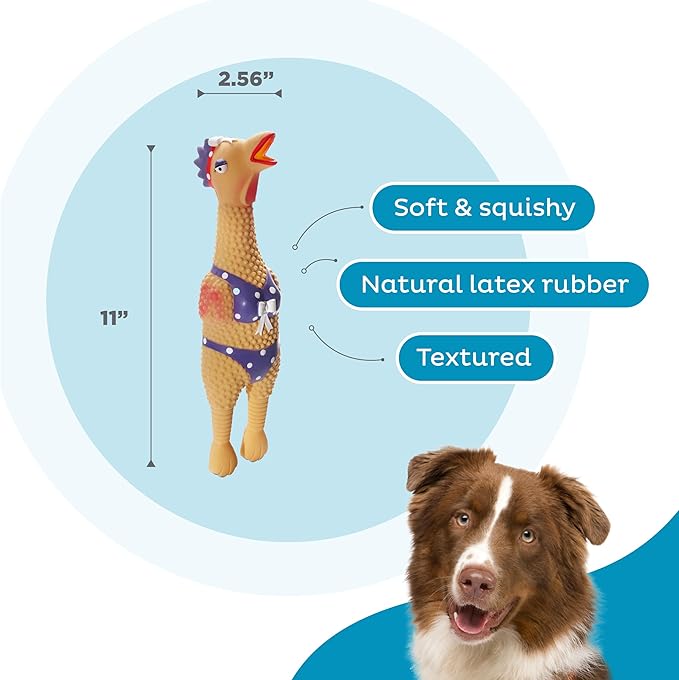 Outward Hound by Charming Pet Squawkers Henrietta Latex Squeaky Rubber Chicken Dog Toy, Funny Interactive Holiday Toy for Dogs, Large Size
