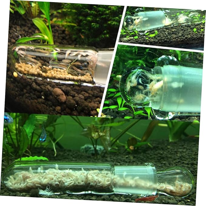 NOLITOY 1hole Aquarium Glass Turbellarian Catcher with Fish Tank Accessory for Easy Planaria Removal and Simple Design for Aquarium Maintenance