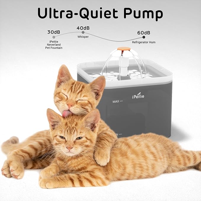 iPettie Neverland Cat Water Fountain with LED Light, 67oz/2.0L, Ultra Quiet Drinking Waterer, Automatic Filtered Water Dispenser, Water Purifier for Pets, Grey