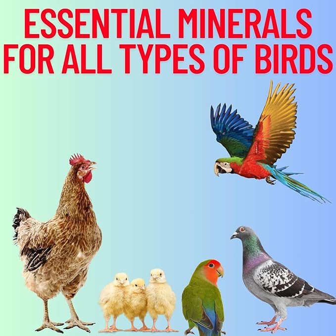 Red Stone + Lime stome + OysterShell Mix Grit Minerals, High Calcium Supplement, Promote Strong Bones, Better Digestion, Overall Well-Being for Pigeons, Small Cage Birds, Duck and Chickens 3 Pounds