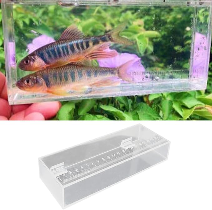 Fishing Photo Tank Fish Isolation Box Acrylic Aquarium Transparent Hatching Incubator Case, 22x4.2x8cm