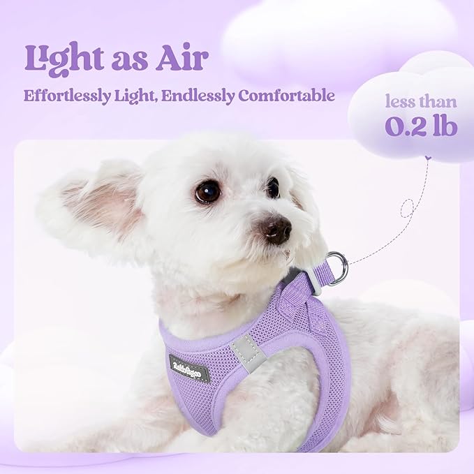rabbitgoo Dog Harness Small Sized and Leash Set, Step in Soft Light Puppy Vest, Breathable Mesh Pet Harness, Reflective for Safe Easy Walking, Light Purple XXS