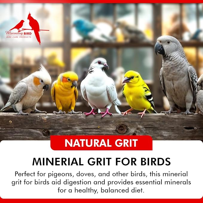 Morning Bird Pigeon Grit - Healthy & Nutritious Pigeon Food to Support Strong Muscles & Bones for Grit Eating Birds - Supports Digestion & Packed with Essential Minerals 18 lbs (2-Pack, 9 lbs Each)