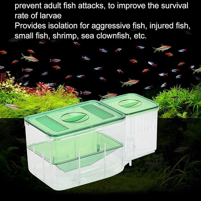 Aquarium Breeding Box for Fish Tanks Double Layer Isolation Incubator Sturdy Fish Fry Protector with Shrimp Breeding Area for Injured Fish Tanks 180Characters