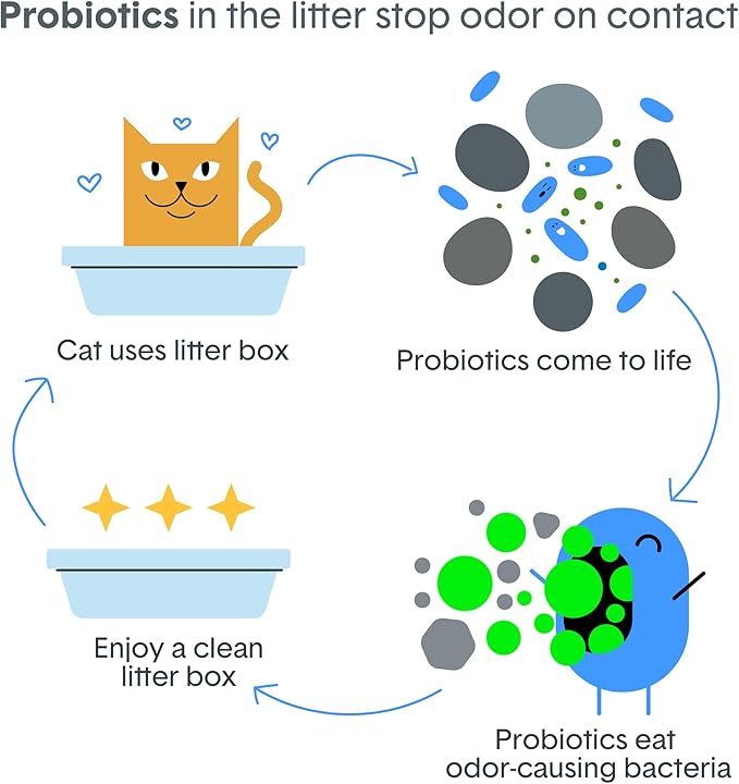 Boxie Probiotic Cat Litter, 40 Day Odor Control, Clumping Clay Kitty Litter, Odor Eliminating Probiotics, Dust-Free, No Fragrances No Fillers, 16 lb