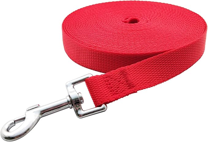 Nylon Training Dog Leash for Small Medium Large Dogs, 15ft 20ft 30ft 50ft Long Leash Dog/Puppy Lead for Obedience Recall Training, Camping (1" x 30ft, Red)