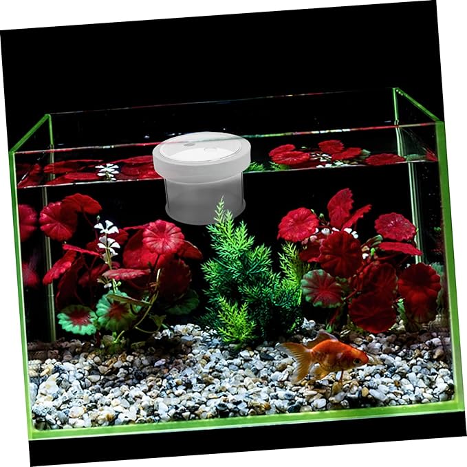 BESPORTBLE Floating Fish Tank Isolation Box Durable Acrylic Aquarium Breeding Box for Fish with Design for Guppy Shrimp Clownfish for Fish Enthusiasts