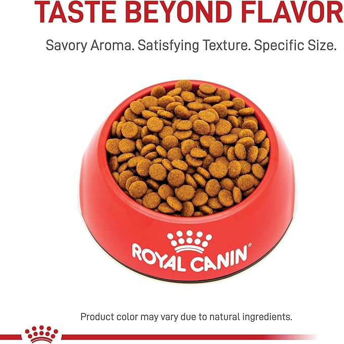 Royal Canin Feline Care Nutrition Hair & Skin Care Adult Dry Cat Food, 3 lb Bag