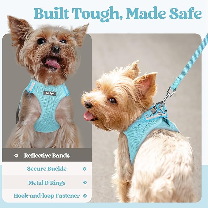 rabbitgoo Dog Harness Small Medium Sized and Leash Set, Step in Soft Light Puppy Vest, Breathable Mesh Pet Harness, Reflective for Safe Easy Walking, Mint Blue XL