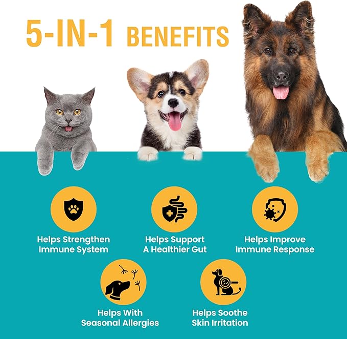 Special Breed Allergy & Immune with Elderberry, Allergy Relief for Cats and Dogs, Anti Itch Treatment, Relief for Pet Allergies, Immune Support for Cat or Dog, 8oz
