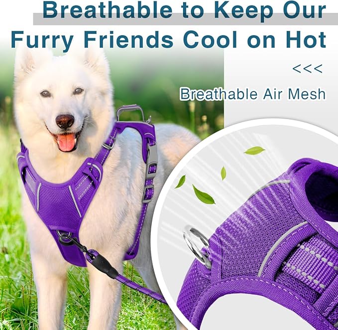BARKBAY Dog Harness No Pull with ID Tag Pocket - Heavy Duty, Reflective, Easy Control for Large Dogs(Purple,L)