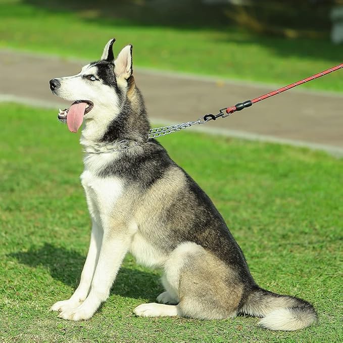 CBBPET Dog Prong Collar, Adjustable Dog Training Collar with Quick Release Buckle for Small Medium Large Dogs (Silver, L/3.5mm Neck: 18"-20'' Weight:70 lbs)