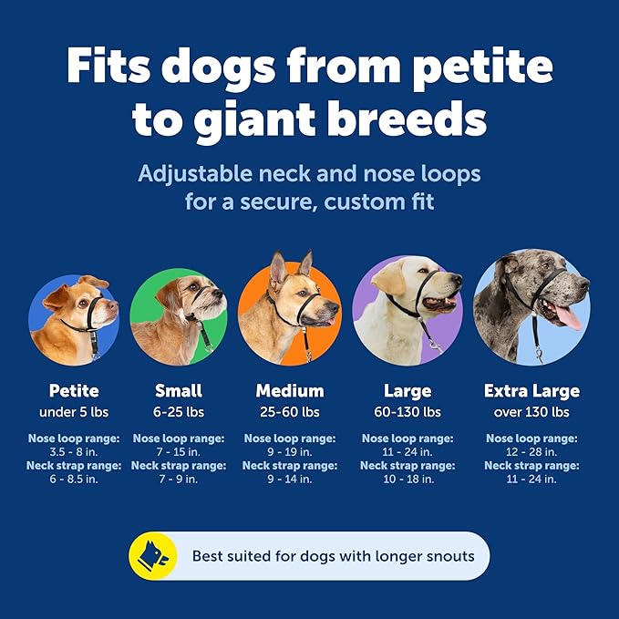PetSafe Gentle Leader Headcollar No-Pull Dog Collar - Helps Improve Walks - Durable Nylon Construction - Padded Nose Loop - Adjustable Fit - Comfort Walking Halter - Small, Silver